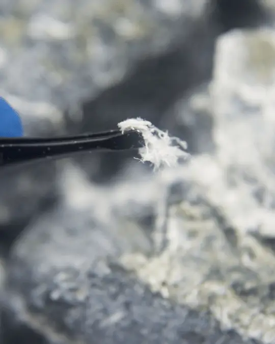 _Asbestos survey melbourne